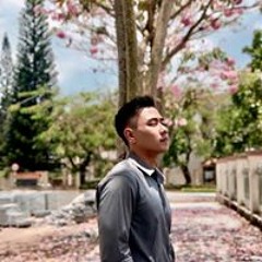 The Anh