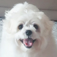 탱크엄마