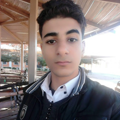 mohamed ali