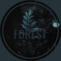 Dark Echo Of The Forest