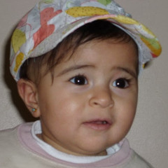 Noha Bakr