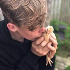 Milan Van den Wouwer