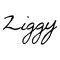 Ziggy