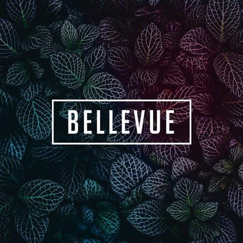 Bellevue Music’s avatar