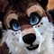 imafurry1825