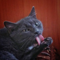 Fetnak