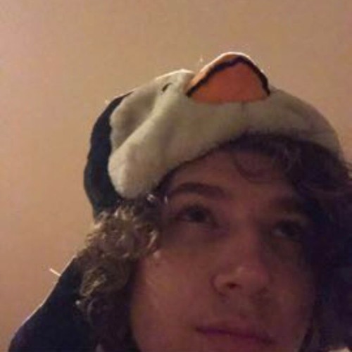 faded penguin’s avatar