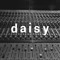 d a i s y