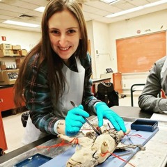 elyse amsterdam-friedlin