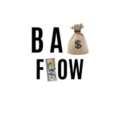 BagFlowEnt.