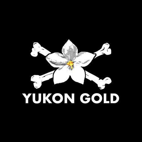 Yukon Gold’s avatar