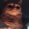 Anony Mous