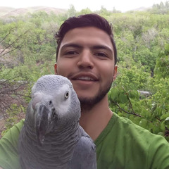 Morteza Eftekhari