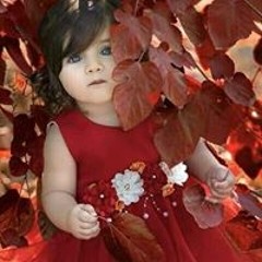 Ahmed Eslam