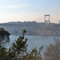 Yusuf Satıcı