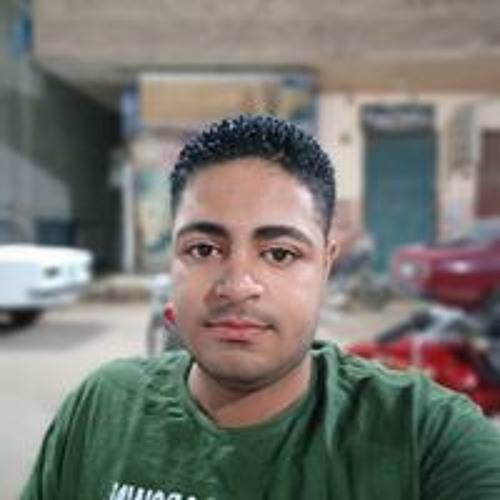 Ali Aboelaskary’s avatar
