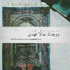 Amal Usf