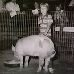 Rabbit Catch The Sun