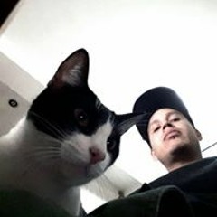 PLZN (Estudio Simio)