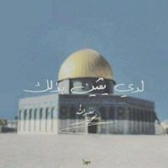زينب عباس
