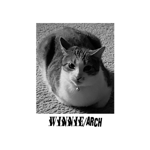 Winnie/Arch Company’s avatar