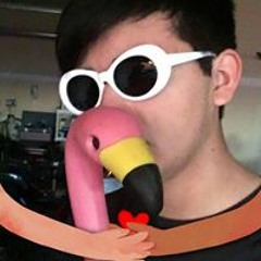 someone stupid probably