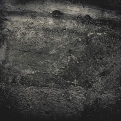 onlyfordownload