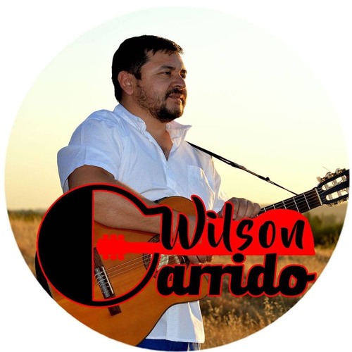 Wilson Garrido Riquelme’s avatar