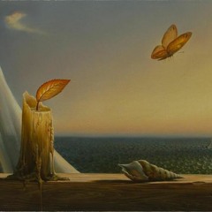 عمر الصعيدي