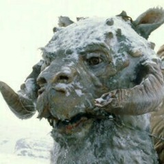 Taun