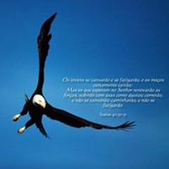 Manuel Sasselo