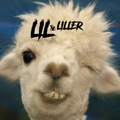 LIL & LILLER
