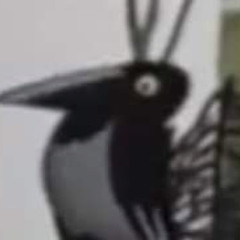 Ворона Из села