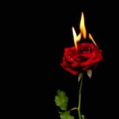 UNCVRD🥀