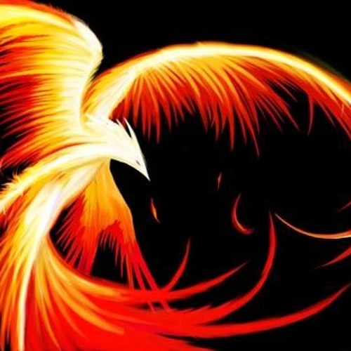 Reins Phoenix’s avatar