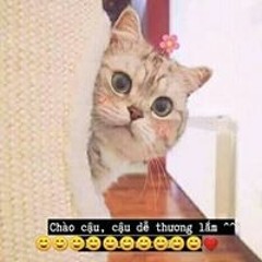 dothanhphuc=))))