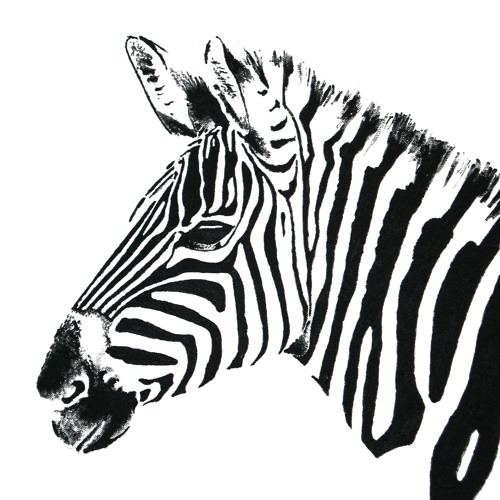 Zebra’s avatar