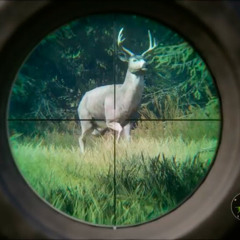 buck awesom stuff