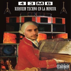 43MB