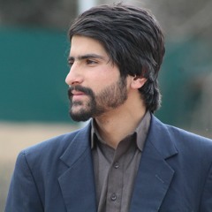 saqib nabi
