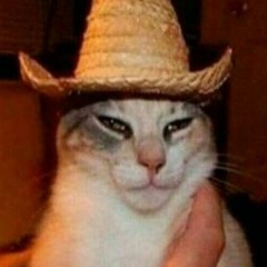 shamanele █▬█ █ ▀█▀  2019