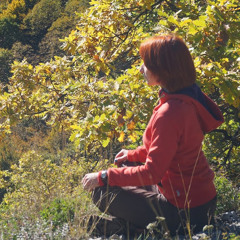 Анастасия Брыкова