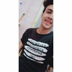 فارس مصطفى حربى