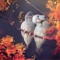amlmagdy346@gmail.com
