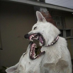 Gabrysia Dyszkiewicz