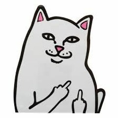 yoongi_san_ticia