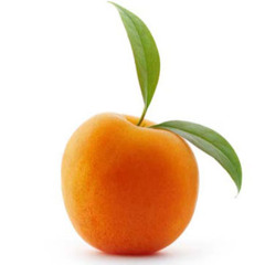 Relevant Apricot