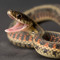 Danger Snek