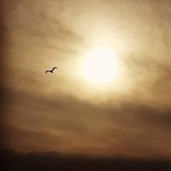 Teté Vaught Charruf