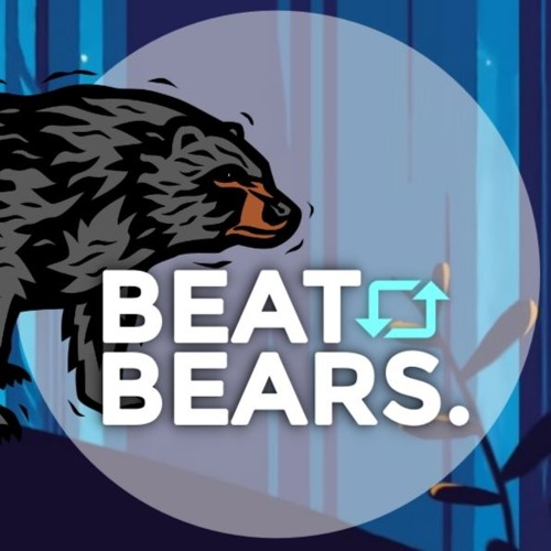 Beat Bears’s avatar